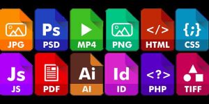 Online Courses In Adobe Photoshop - social media logos